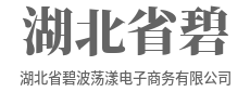 指尖轻点，好物即刻到家-湖北省碧波荡漾电子商务有限公司